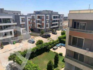 زايد ريجنسي الشيخ زايد